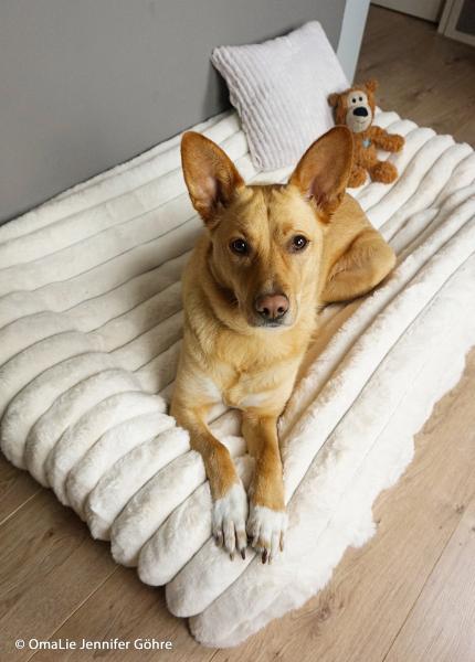 Kunstpelz Ottawa Natur von Swafing